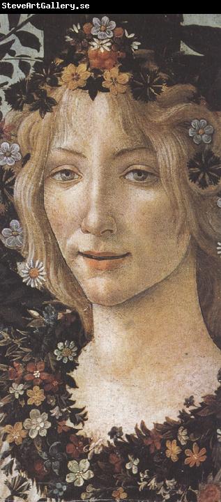 Sandro Botticelli Primavera (mk36)